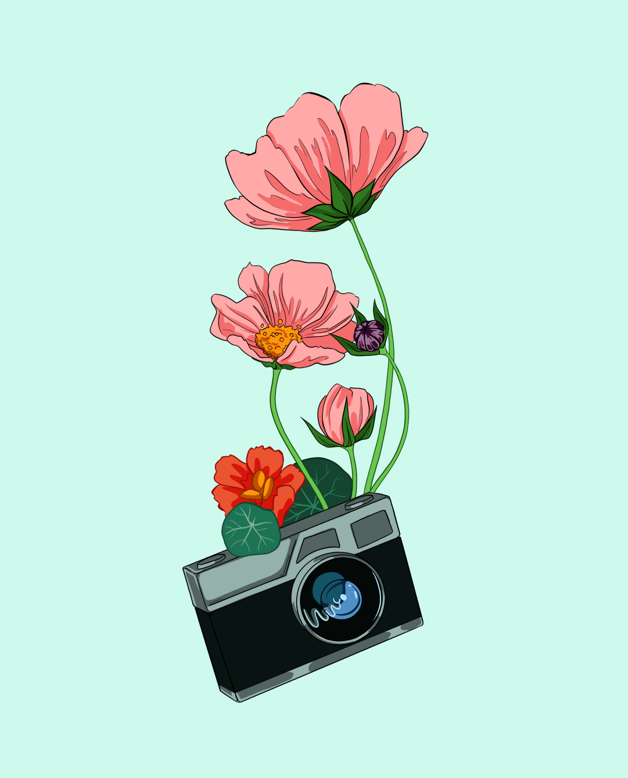 Illustration9 Scaled